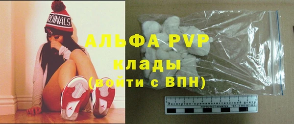 мяу мяу мука Абаза
